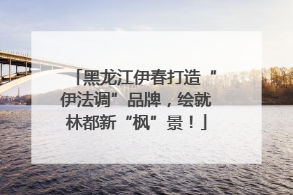 黑龙江伊春打造“伊法调”品牌，绘就林都新“枫”景！
