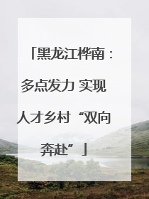 黑龙江桦南：多点发力 实现人才乡村“双向奔赴”