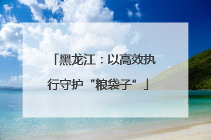 黑龙江：以高效执行守护“粮袋子”
