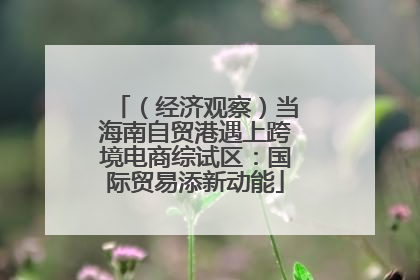 （经济观察）当海南自贸港遇上跨境电商综试区：国际贸易添新动能
