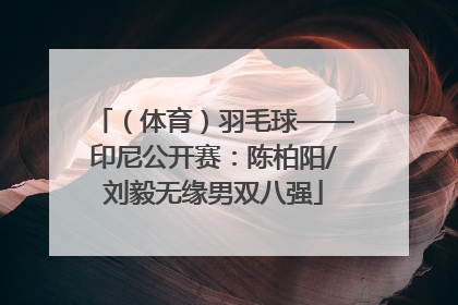 （体育）羽毛球——印尼公开赛：陈柏阳/刘毅无缘男双八强