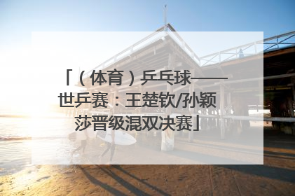 （体育）乒乓球——世乒赛：王楚钦/孙颖莎晋级混双决赛