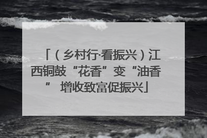 （乡村行·看振兴）江西铜鼓“花香”变“油香” 增收致富促振兴