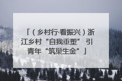 （乡村行·看振兴）浙江乡村“自我重塑” 引青年“筑巢生金”