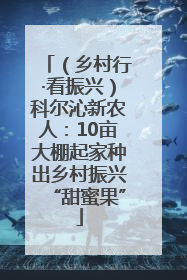 （乡村行·看振兴）科尔沁新农人：10亩大棚起家种出乡村振兴“甜蜜果”
