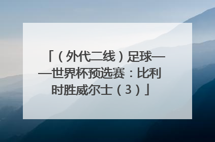（外代二线）足球——世界杯预选赛：比利时胜威尔士（3）