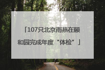 107只北京雨燕在颐和园完成年度“体检”