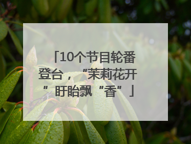 10个节目轮番登台，“茉莉花开”盱眙飘“香”