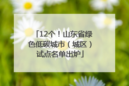 12个！山东省绿色低碳城市（城区）试点名单出炉