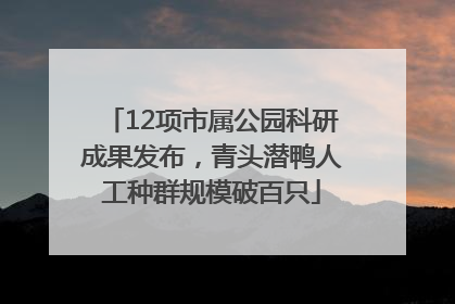 12项市属公园科研成果发布，青头潜鸭人工种群规模破百只