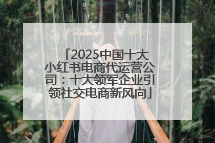 2025中国十大小红书电商代运营公司：十大领军企业引领社交电商新风向