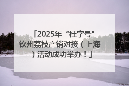 2025年“桂字号”钦州荔枝产销对接（上海）活动成功举办！