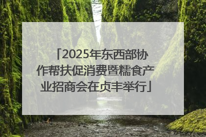 2025年东西部协作帮扶促消费暨糯食产业招商会在贞丰举行