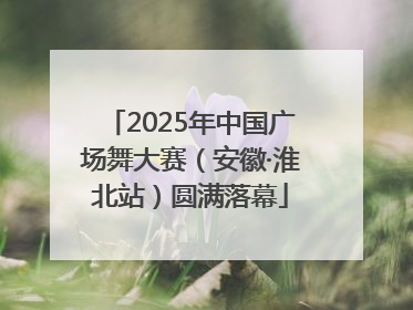 2025年中国广场舞大赛（安徽·淮北站）圆满落幕