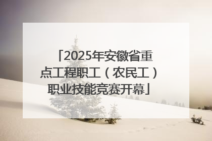 2025年安徽省重点工程职工（农民工）职业技能竞赛开幕