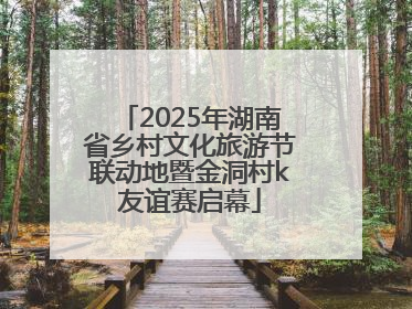 2025年湖南省乡村文化旅游节联动地暨金洞村k友谊赛启幕