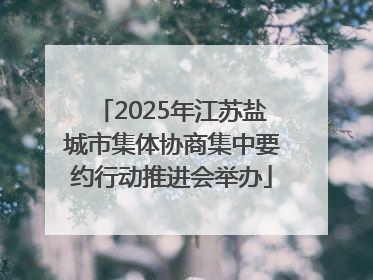 2025年江苏盐城市集体协商集中要约行动推进会举办