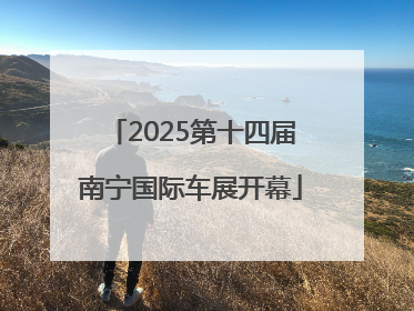 2025第十四届南宁国际车展开幕