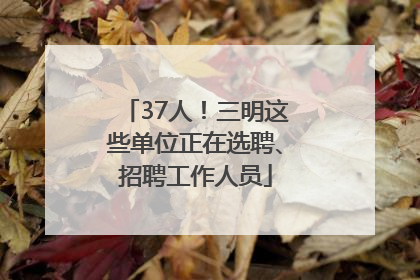 37人！三明这些单位正在选聘、招聘工作人员