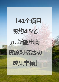 41个项目签约4.5亿元 新疆电商资源对接活动成果丰硕