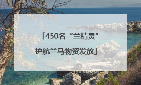 450名“兰精灵”护航兰马物资发放