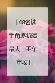 48名选手角逐新疆最大二手车市场