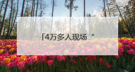 4万多人现场“围观” 宿迁端午龙舟赛“文体旅商”融合再破圈！