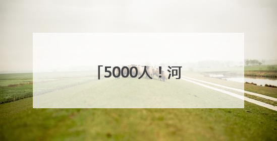 5000人！河南发布招用公告