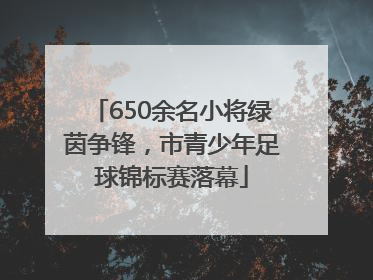 650余名小将绿茵争锋，市青少年足球锦标赛落幕