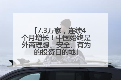 7.3万家，连续4个月增长！中国始终是外商理想、安全、有为的投资目的地