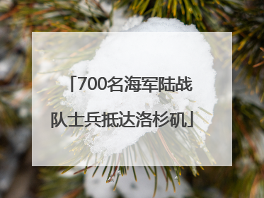 700名海军陆战队士兵抵达洛杉矶