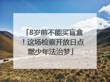 8岁前不能买盲盒！这场检察开放日点燃少年法治梦