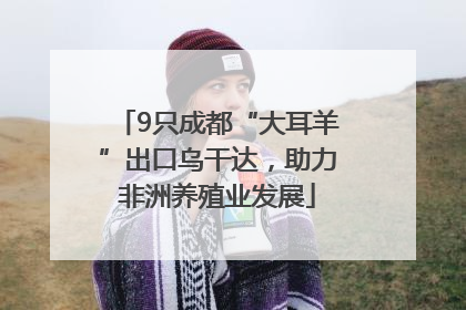 9只成都“大耳羊”出口乌干达，助力非洲养殖业发展