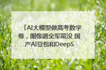 AI大模型做高考数学卷，图像题全军覆没 国产AI豆包和DeepSeek均得分144
