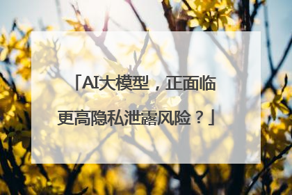 AI大模型，正面临更高隐私泄露风险？