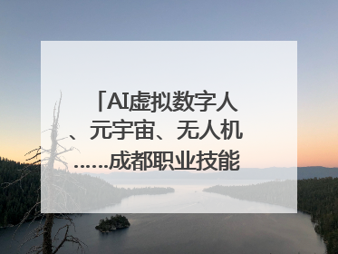 AI虚拟数字人、元宇宙、无人机……成都职业技能大赛启动
