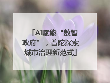 AI赋能“数智政府”，普陀探索城市治理新范式