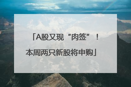 A股又现“肉签”！本周两只新股将申购