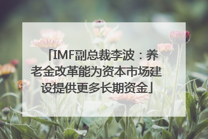 IMF副总裁李波：养老金改革能为资本市场建设提供更多长期资金