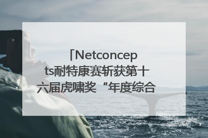 Netconcepts耐特康赛斩获第十六届虎啸奖“年度综合服务商”大奖