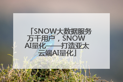 SNOW大数据服务万千用户，SNOW AI量化——打造亚太云端AI量化